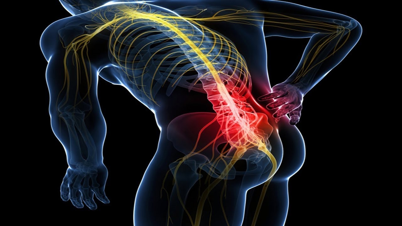 Lynx VR Trainer Cure For Chronic Pain From Indoor Training YouTube