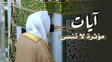 "وتولى عنهم" آيات مؤثرة لاتنسى وتلاوات مبكية من المسجد النبوي | للشيخ د. عبدالله القرافي | 12-2-1447