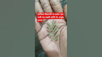 मासिक शिवरात्रि या प्रदोष एक शमी पत्र से लक्ष्मी प्राप्ति के अचूक उपाय #pradeep_mishra_ji #shorts