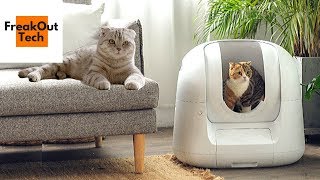 Top 5 Cat Inventions Of The Year You Never Knew About