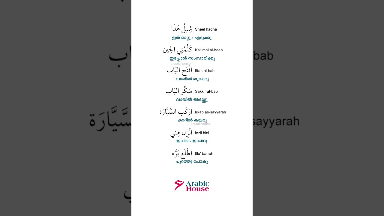 Gulf Spoken Arabic Words 🌿 #gulf #arabic #malayalanews #pravasi_malayaly #gulfmalayali #gulfjobs