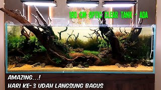 Yoyo Prayogi Setting Natural Aquascape Super-Big Tank 180cm - Hardscape Detailing & Planting