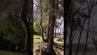 O Rosal Espanha 🇪🇸 #europa #espanha