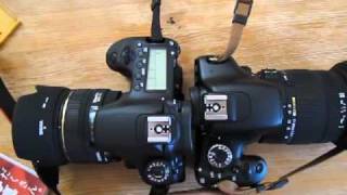 ❣動画も静止画もこれ一台！❣Canon EOS 60D❣本格一眼レフ❣ CANON EOS 60D ボディ投稿画像・動画 - 価格.com