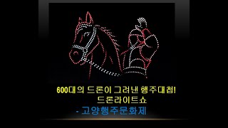 600대의 드론이 그려낸 행주대첩! 드론라이트쇼