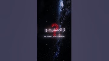 سورة المؤمنون || آية ٨٤-٨٩ (Surah Al-Mu'minun) ﷽ #quran  #قرآن  #yasseraldossari