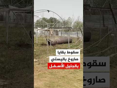 الجيش الإسرائيلي يقصف مسجدا في لبنان