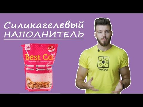 Как подобрать наполнитель для лотка? Силикагелевый наполнитель