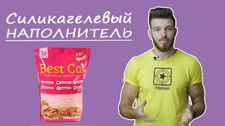 Как подобрать наполнитель для лотка? Силикагелевый наполнитель Как подобрать наполнитель для лотка? Силикагелевый наполнитель