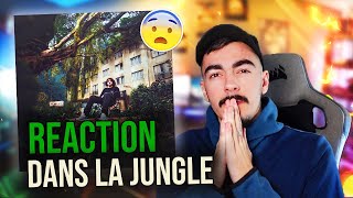 Réaction à Mougli - Dans La Jungle (en Live)
