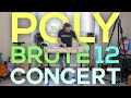 Arturia polybrute 12 in concert