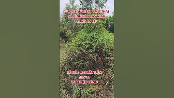 10 công đất vườn sầu riêng mít hai mặt tiền đường ô tô xã bình Hòa đông huyện Mộc Hóa LA 0854645939