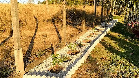 Como montar um canteiro de rosas?