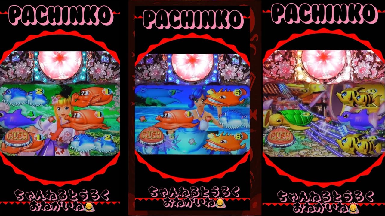 【スーパー海物語IN沖縄Ⅳ桜】PACHINKO縦型！2025年11月24日❶実機！thanks、감사、merci