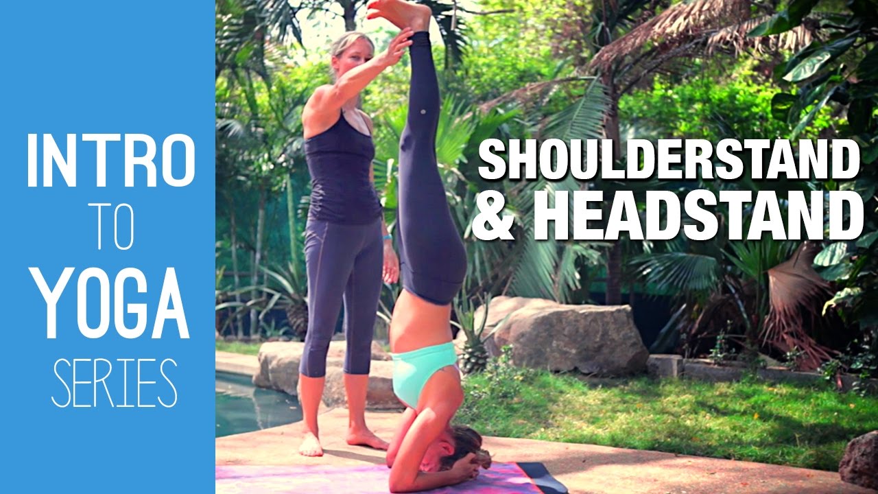 How to do Shoulder Stand for beginners - Iyengar Yoga - step by step 