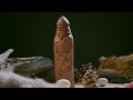 Slavic - Mythology. Wooden statues and figurines by Wulflund and Serbian ROD.