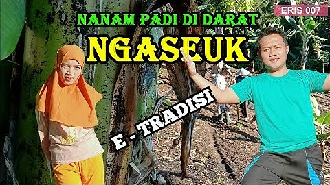 TRADISI NGASEUK "NANAM PADI DI DARAT" HUMA || E-TRADISI