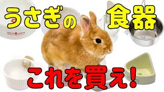 獣医師推奨【うさぎのエサ入れ】正しい食器の選び方#87　うさぎの飼い方Vol.44