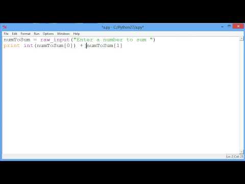 String Processing and Data Types in Python