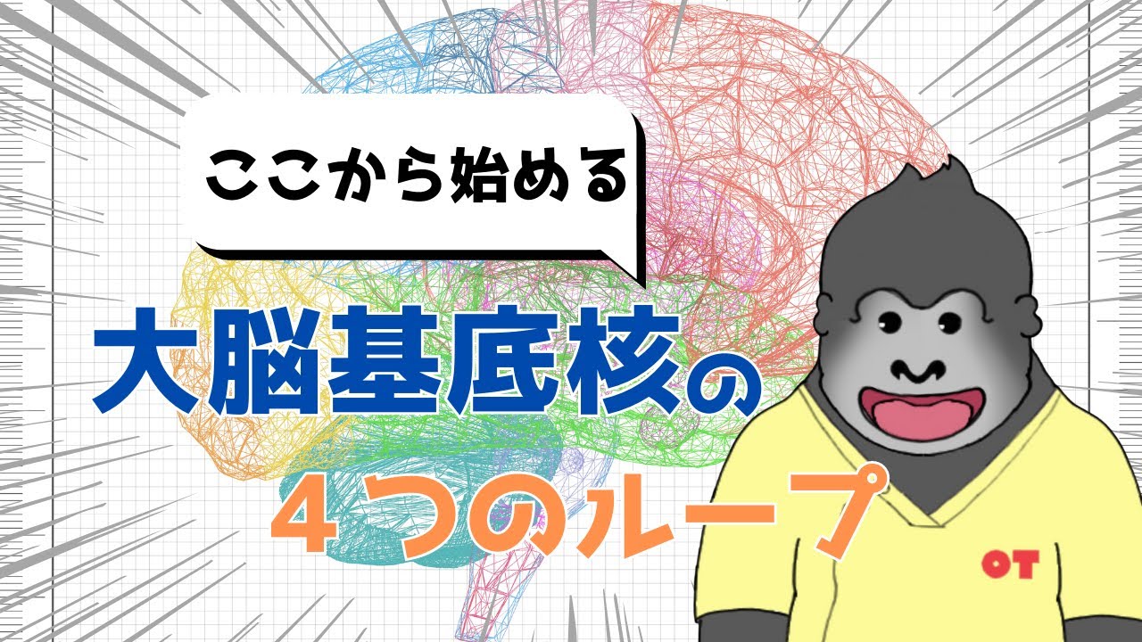 【リハビリ 新人向け】大脳基底核の４つのループを解説