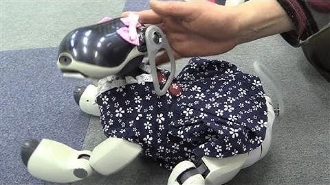 At Sony, Robots Are Back in Business