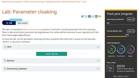 Web Security Academy | Web Cache Poisoning | 7 - Parameter Cloaking