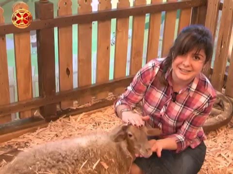 კონტაქტური ზოოპარკი