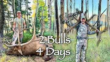Two Bulls Of A Lifetime | Colorado Bow Elk Hunt Remastered