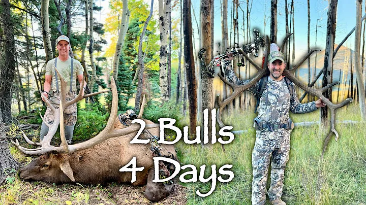 Two Bulls Of A Lifetime | Colorado Bow Elk Hunt Remastered