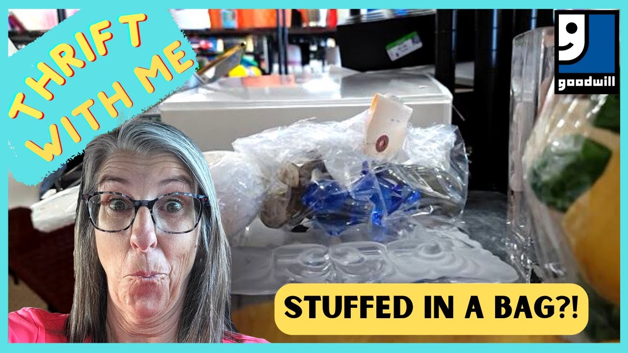 They Were Stuffed in a Bag - Thrift With Me at Goodill - Las Vegas ...