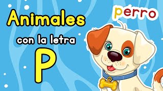 Animales Con La Letra P I✅ANIMALES CON P I Ejemplos de ANIMALES CON P 🐻🐶👀🧠