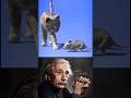 The cat attacked in the morning and ate it.&quot; physics science experiment#shorts #shortsfeed #viral
