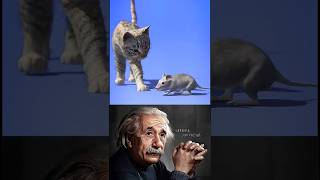 The cat attacked in the morning and ate it.&quot; physics science experiment#shorts #shortsfeed #viral