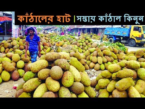 ভিডিও: সস্তাে গ্রীষ্মে কোথায় আরাম পাবেন