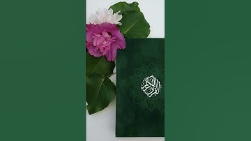 #ناصر_القطامي #فارس_عباد #رعد_الكردي #اجمل_تلاوات #أجمل_التلاوات #سعود_الشريم #اسلام_صبحي