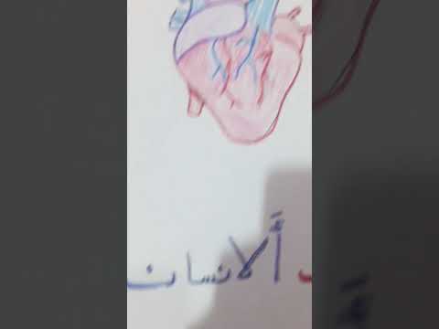 رسم قلب الانسان هلمره قرأن مو اغاني قلب الانسان رسم