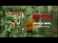 Miniature de la vidéo de la chanson Ripped To Shreds