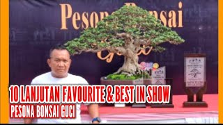 10 BONSAI LANJUTAN FAVOURITE & BEST IN SHOW PESONA BONSAI GUCI.