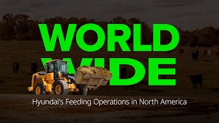 Hyundai’s Feeding Operations in North America