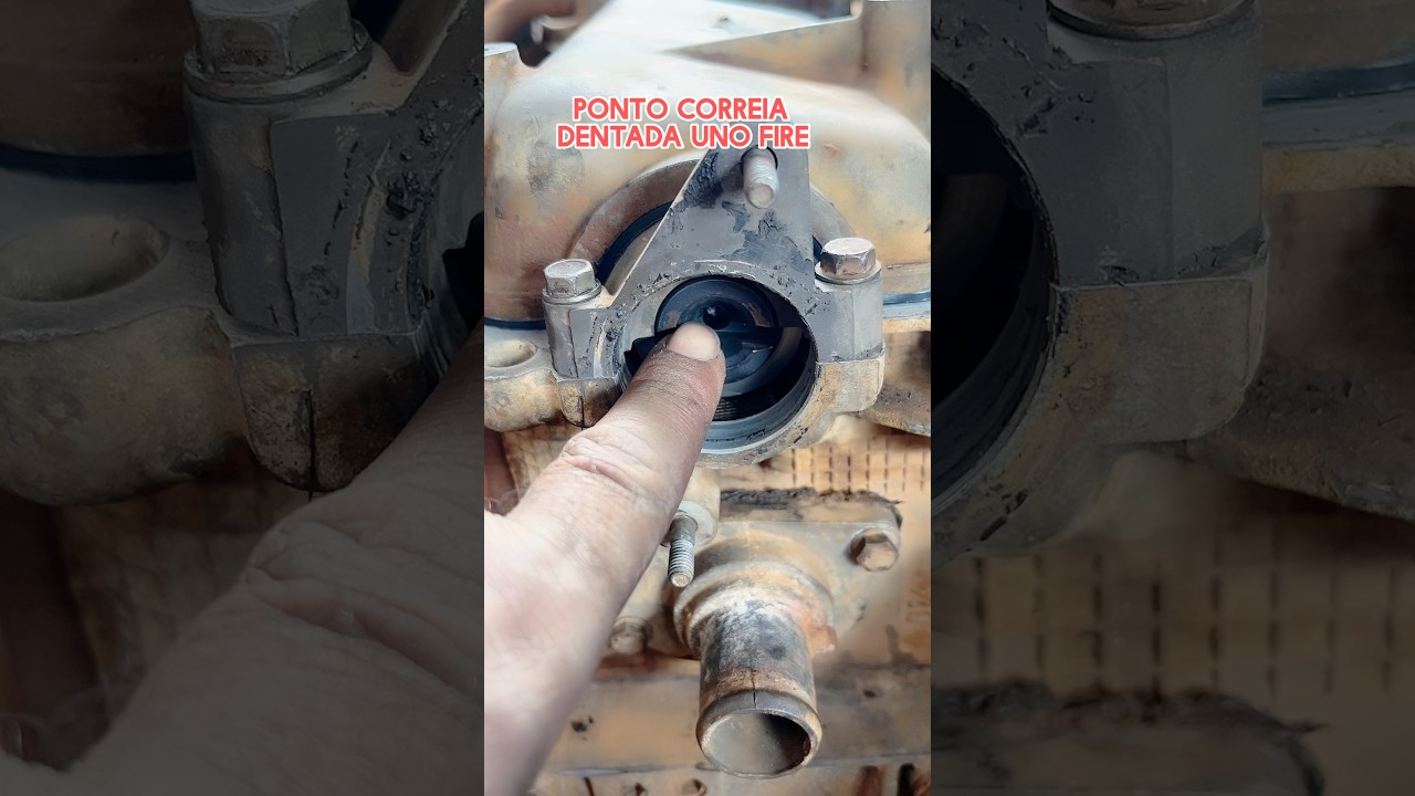 Ponto correia dentada sem ferramenta uno fire 