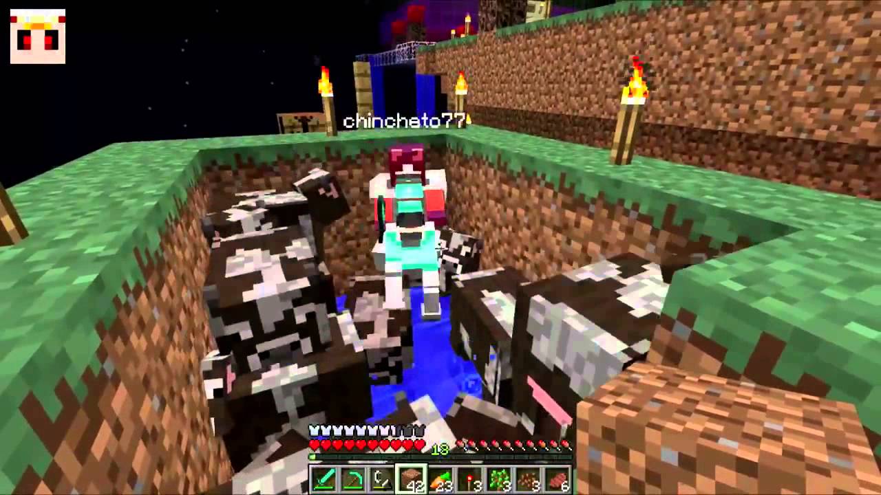 Chincheto se queda atrapado con las vacas