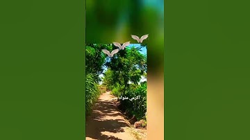 قرآن كريم #اكسبلور  #duet #لايك #تيك_توك