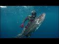 Spearfishing Philippines 2020!! +Whale Shark and Sperm Whale Spotting!!