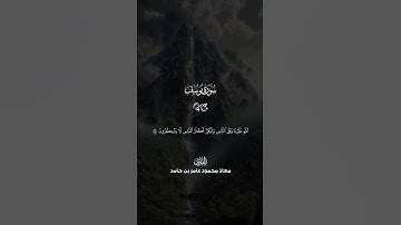 ما تيسر من سورة يوسف بصوت القارئ معاذ محمود عامر بن حامد