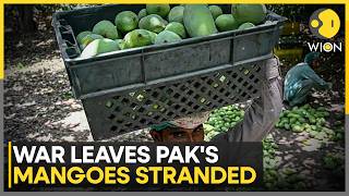 Bread Or mangoes? Pakistan's Demand Dilemma | WION
