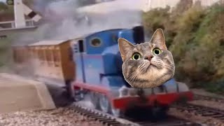 Thomas The Cat And Engine (100 Subs Special) by CrabbyCrab101 31,499 views 4 years ago 1 minute, 18 seconds