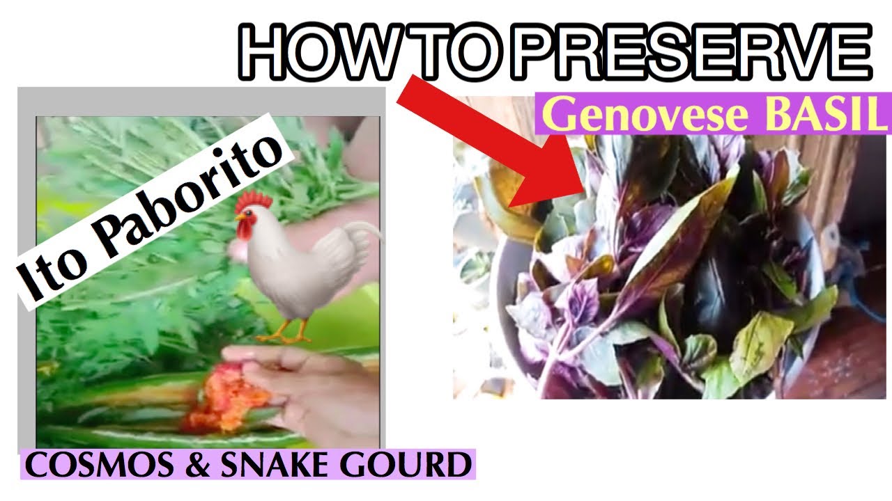 How do you make leafy greens last longer? YouTube