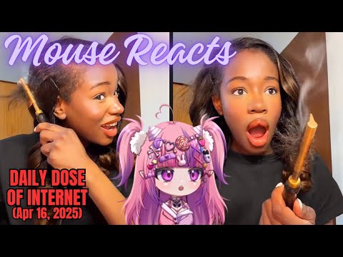 Mouse Reacts to Daily Dose of Internet: The Silence Was So Loud (Apr 16, 2025)