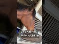 可愛いライラック。最後はオルフェーヴル産駒感を出してしまう【エリザベス女王杯2着】