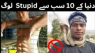 10 most stupid people in the world|stupid people|knowledge people|